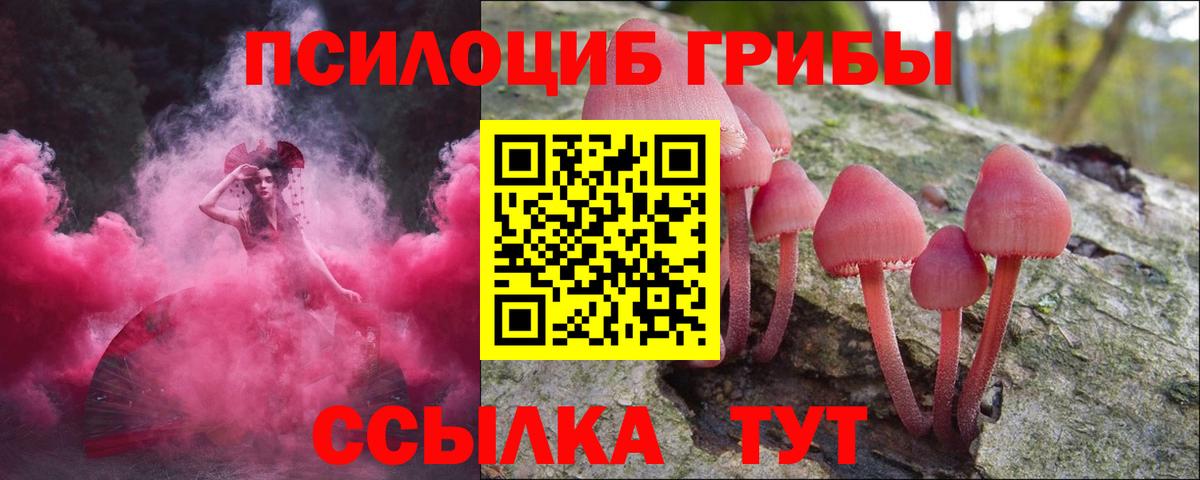 Псилоцибиновые грибы Magic Shrooms Пушкино