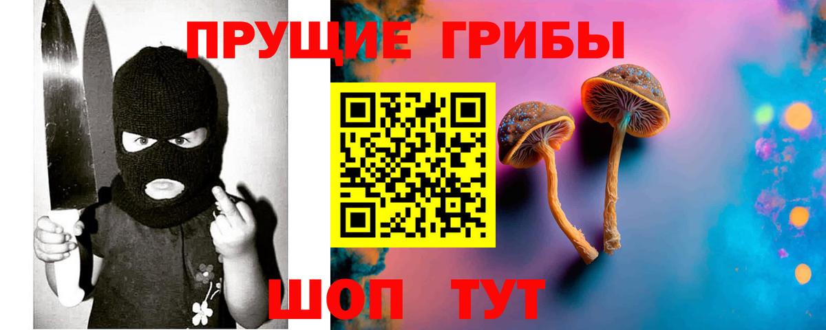 Галлюциногенные грибы Cubensis  Вход с VPN  Галлюциногенные грибы прущие грибы  Пушкино 